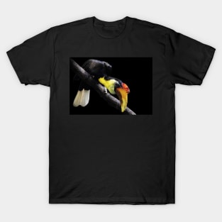 Wrinkled hornbill T-Shirt